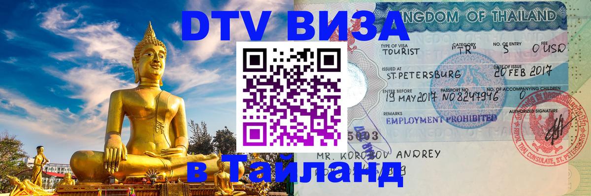 Сколько стоит DTV виза — актуальные цены, оформление даже без документов - 08.01.2026 